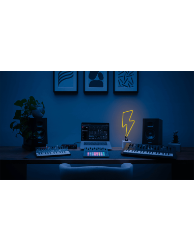 CIRCUIT TRACKS