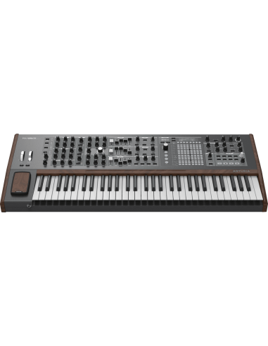 POLYBRUTE