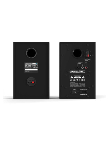DSM-3 BT 