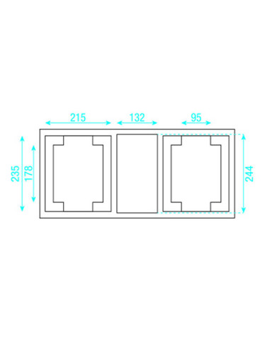 Case for 2 x Phantom 25/50/65