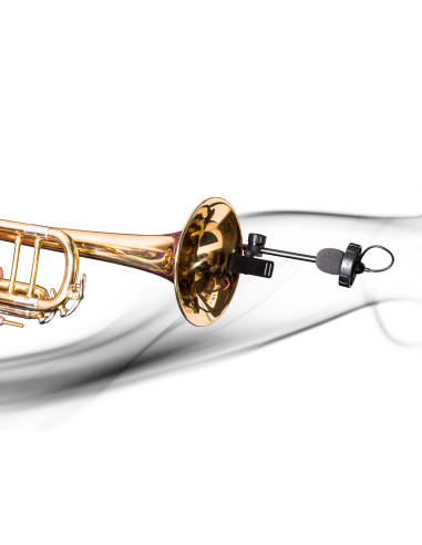 SB21 Lanen Sax & Brass