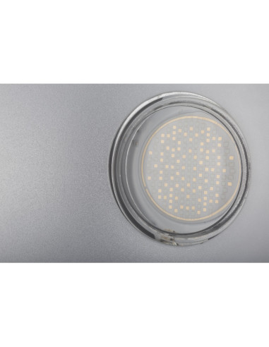 LED UV-GUN 100W