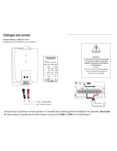 Rondson - PBT30 BL - Terre de Son 2