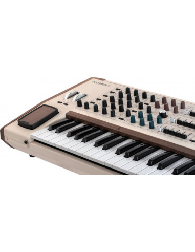 Polybrute 12
