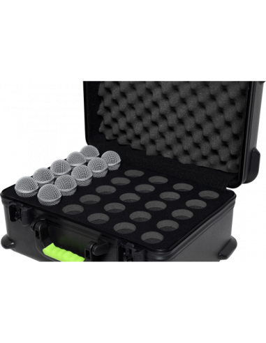 Case 30 micros