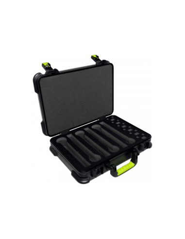 Case 6 micros HF