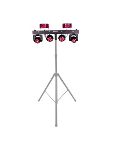 ZANZI-BAR FX4 2