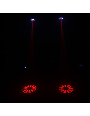 ZANZI-BAR FX4