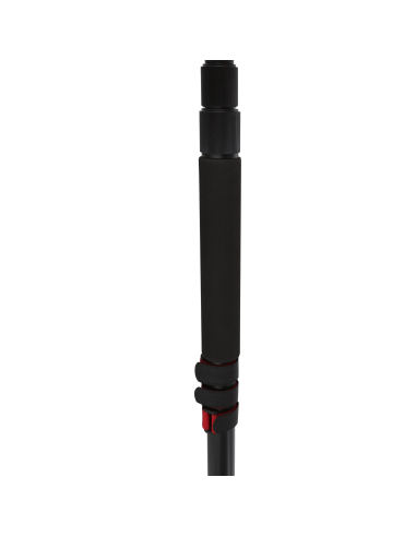 BP 004