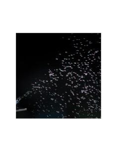 Eliminator Lighting - Bubbletron EX - Terre de Son 2