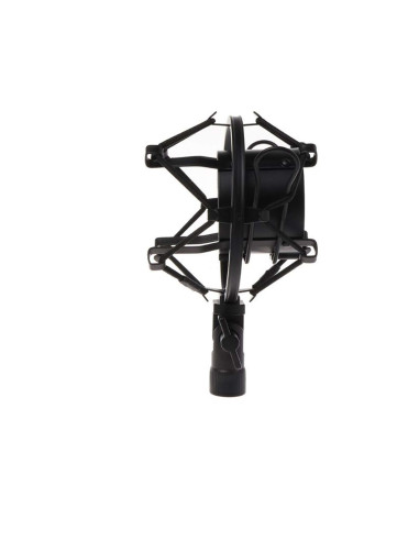 Power Studio - MSK 20B - Terre de Son