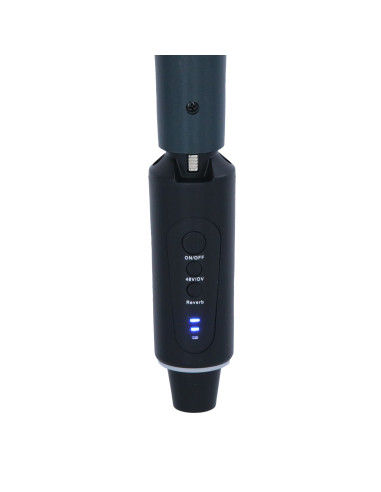 PLUG 120R 2.4G