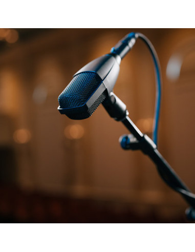 Sennheiser - MD 421 Kompakt - Terre de Son