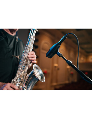 Sennheiser - MD 421 Kompakt - Terre de Son