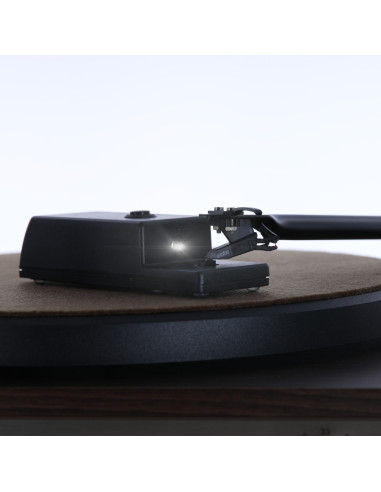 ESC 10