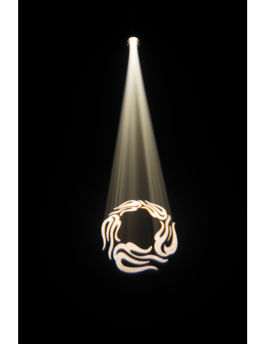 CHAUVET - EVE F-160ZQ - Terre de Son