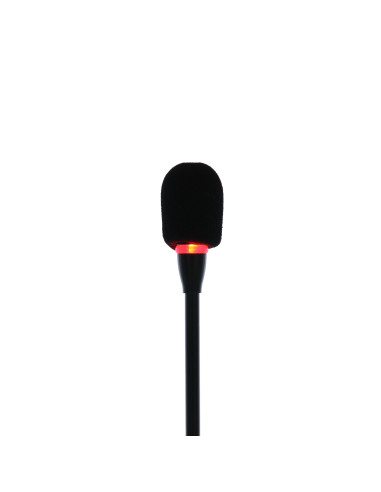 SC 404