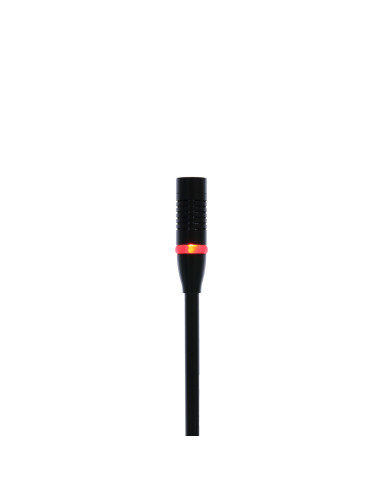 SC 404