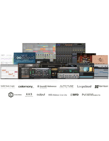 SOLID STATE LOGIC - SSL18 - Terre de Son