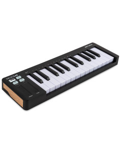 Arturia - MICROLABMK3-BK - Terre de Son 2