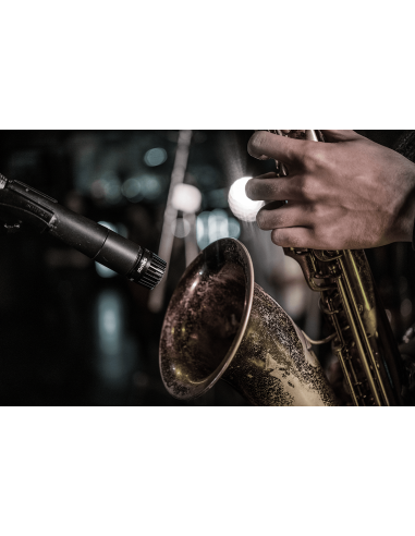 SM57 + Câble XLR + pied perche
