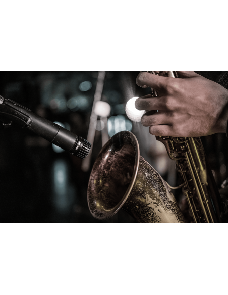 SM57 + Câble XLR + pied perche