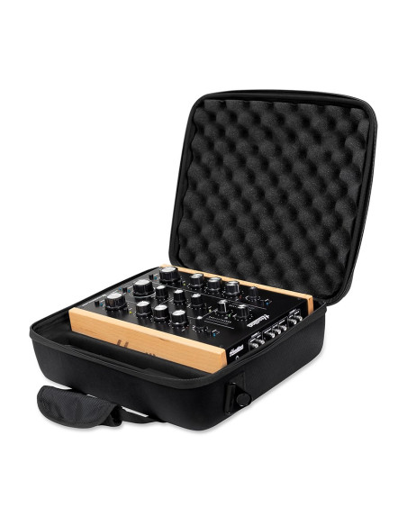 Case for Headliner R2