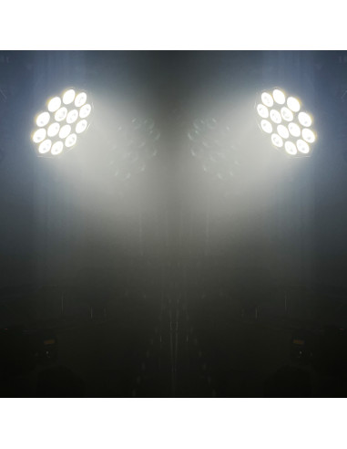 STAGEPAR 14x15W QUAD
