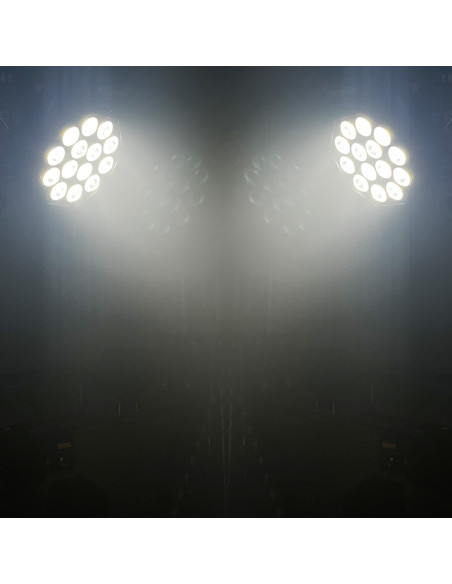 STAGEPAR 14x15W QUAD