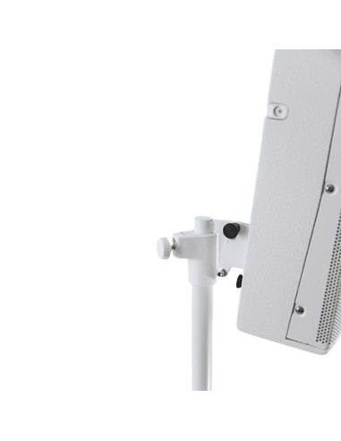 FBT- VERTUS CS 1000 White - Terre  de Son