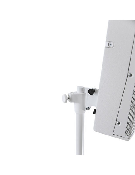 FBT- VERTUS CS 1000 White - Terre  de Son