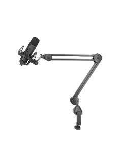 Power Studio Boom ARM60 -Terre de son