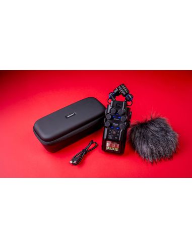 Zoom H6 studio - Terre de son