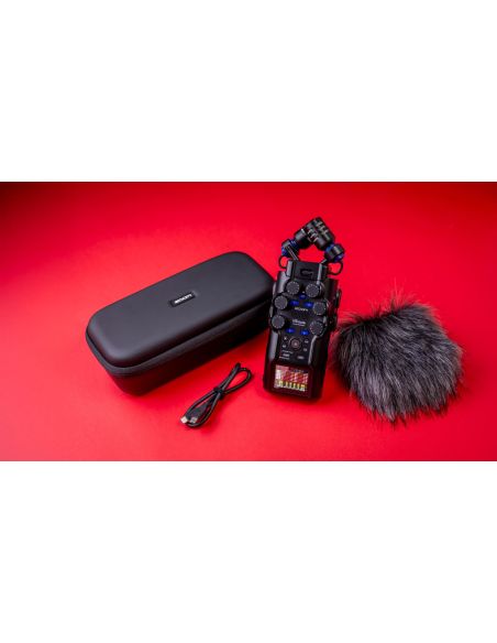 Zoom H6 studio - Terre de son