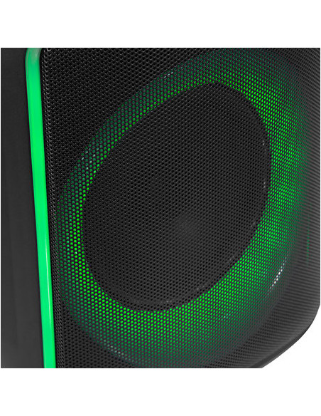 Boomtone DJ - CUBE 200 - Terre de Son