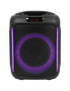 Boomtone DJ - CUBE 200 - Terre de Son 2