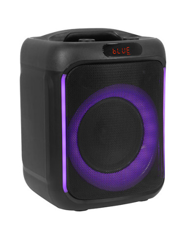 Boomtone DJ - CUBE 200 - Terre de Son