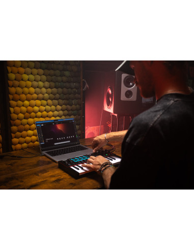 Akai - MPKMINI4-B - Terre de Son