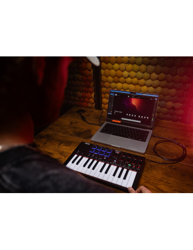 Akai - MPKMINI4-B - Terre de Son