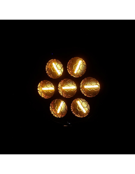 J.COLLYNS - ARDECO 7GLD - Terre de Son