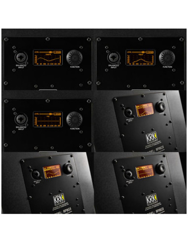 Pack Rokit RP8 G5 (la paire) + Caisson S12.4