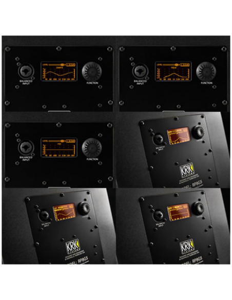 Pack Rokit RP8 G5 (la paire) + Caisson S12.4