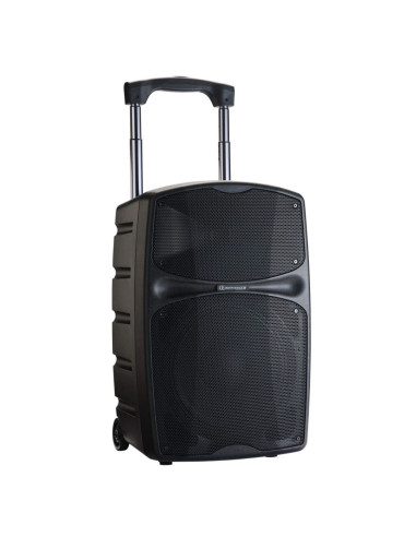 Pack RACER250 Evo + 2 micros UHF main + 2...