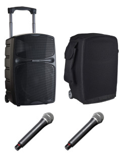 Audiophony - Pack RACER250 Evo + 2 micros HF main + 2 Récepteurs + housse - Terre de Son