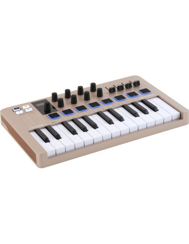 Arturia - MINILAB3-CH - Terre de Son