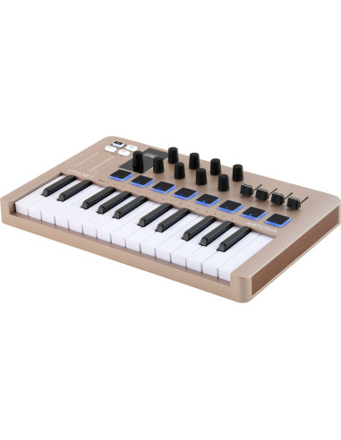 Arturia - MINILAB3-CH - Terre de Son