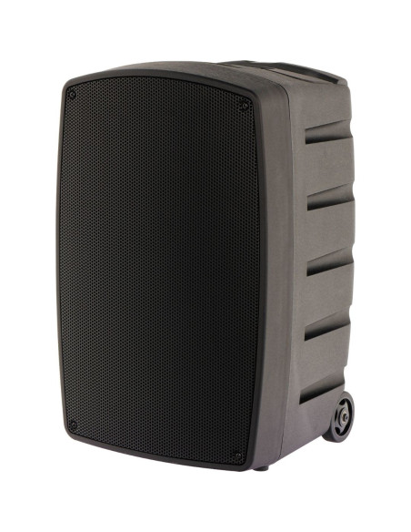 Algam Audio - TR12-BT - Terre  de Son