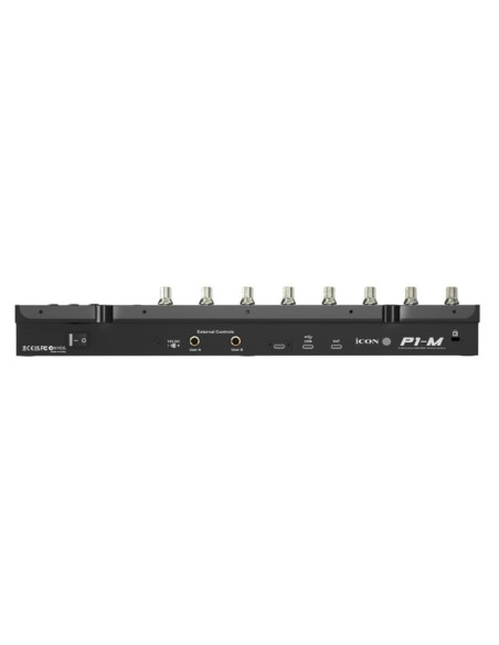 icon Pro Audio - P1-M - Terre de Son