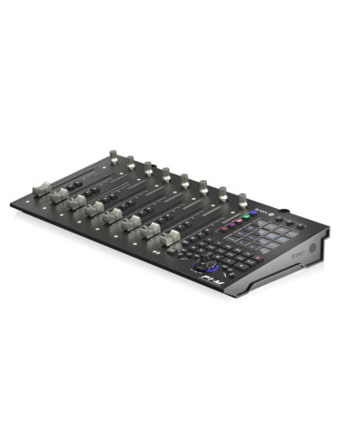 P1-M + D4-T