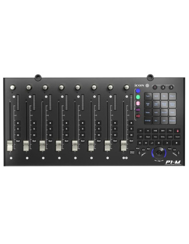 P1-M + D4-T